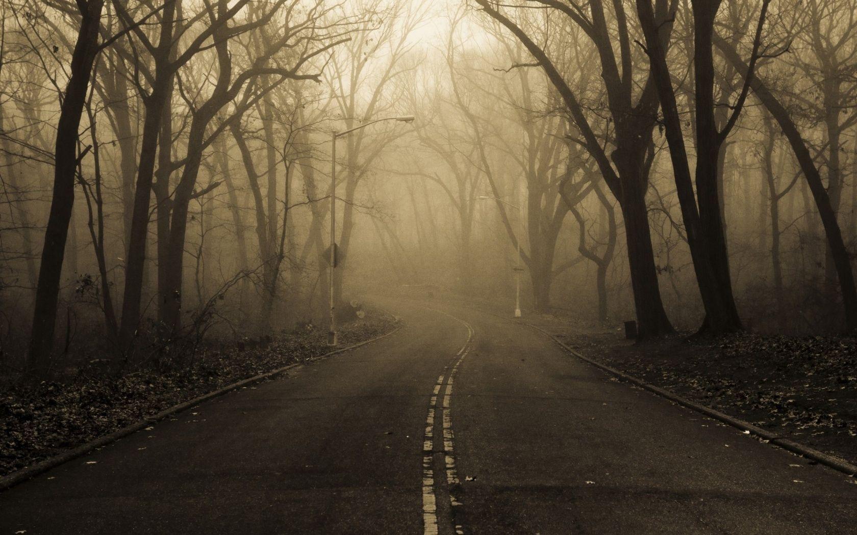 1680x1050 Mysterious Forest Fog & Street desktop PC and Mac wallpaper