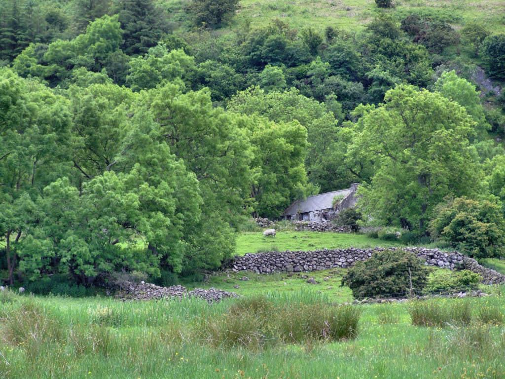 1024x768 Ireland Countryside Wallpaper