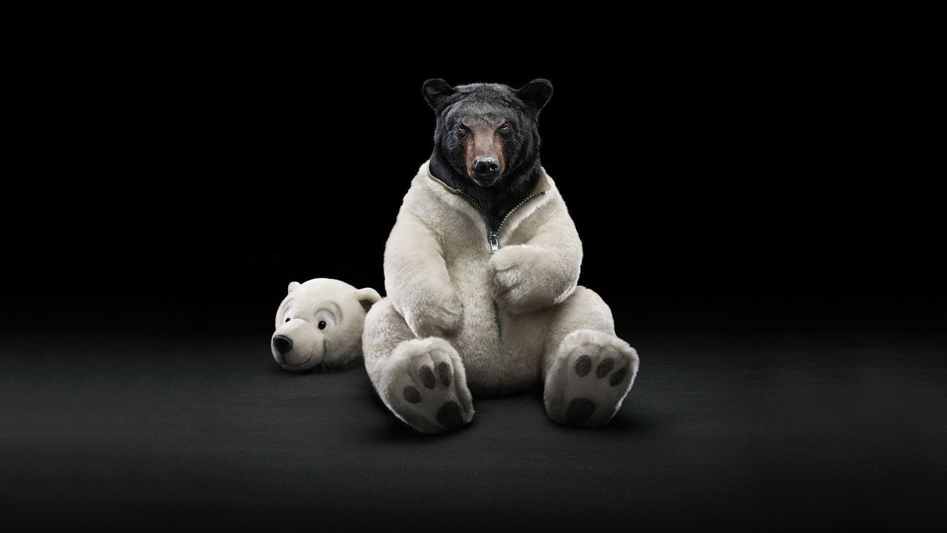 1920x1080 Wallpaper black bear Black bear in a costume of a polar bear android wallpaper. Amp.