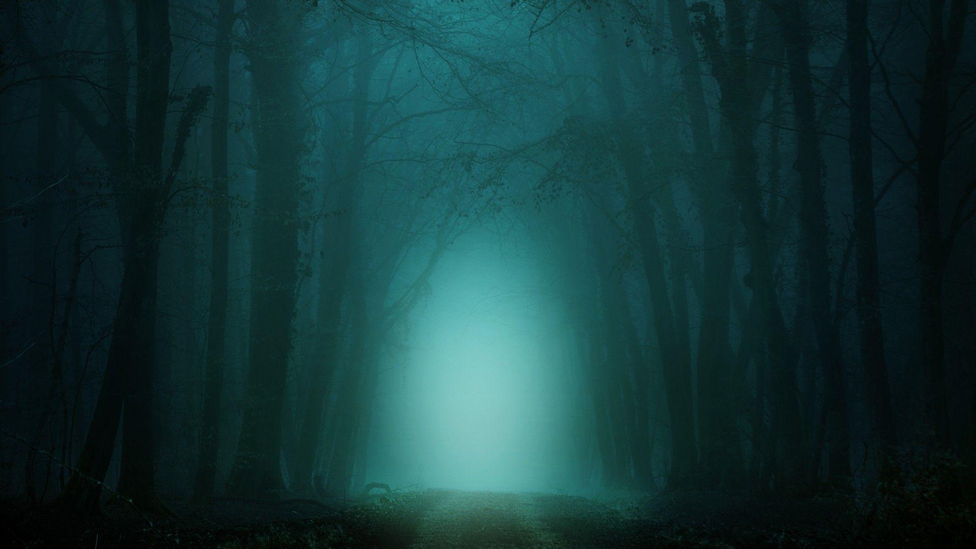 1920x1080 Download 1920x1080 Dark Forest, Foggy, Turquoise Light, Path Wallpaper for Widescreen
