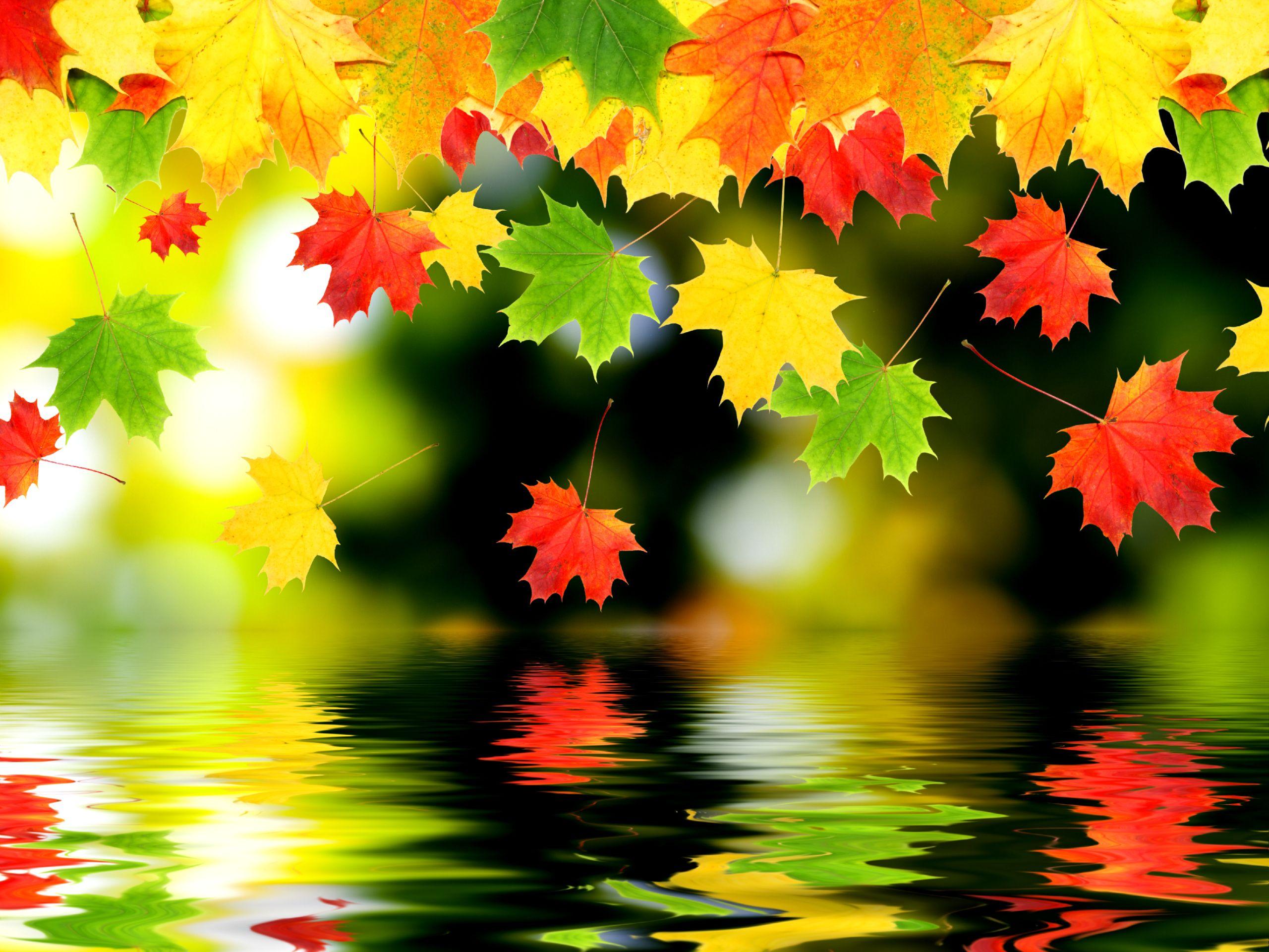 2560x1920 Background Autumn
