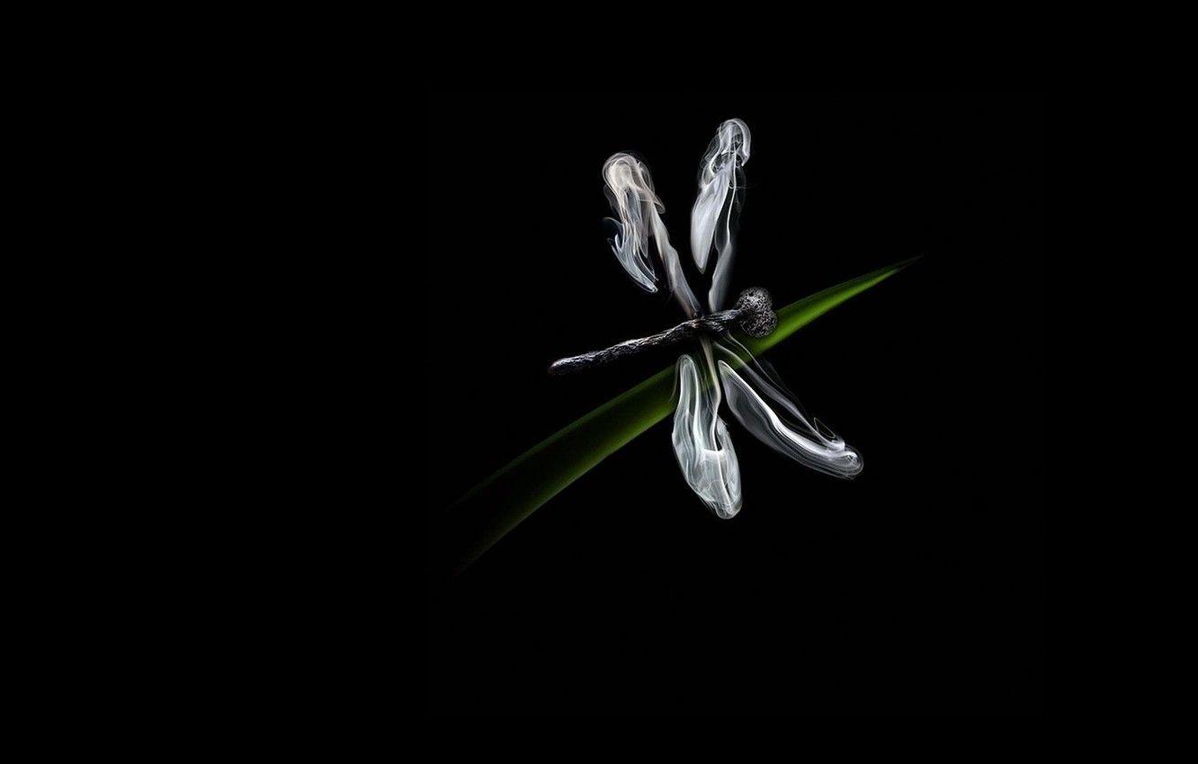 1332x850 Wallpaper background, black, smoke, dragonfly, match image for desktop, section минимализм