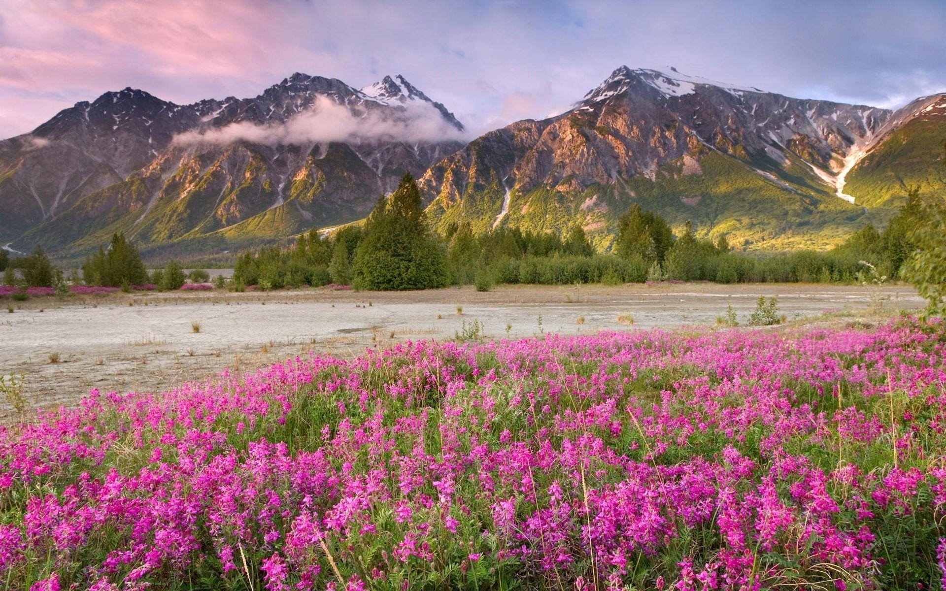 1920x1200 Spring Computer Wallpaper Landscapes