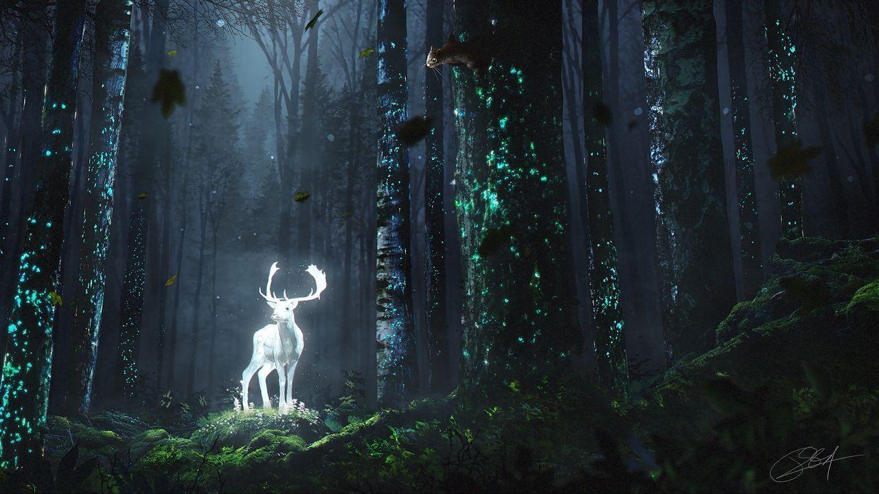 1280x720 Deer Forest Trees HD Wallpaper