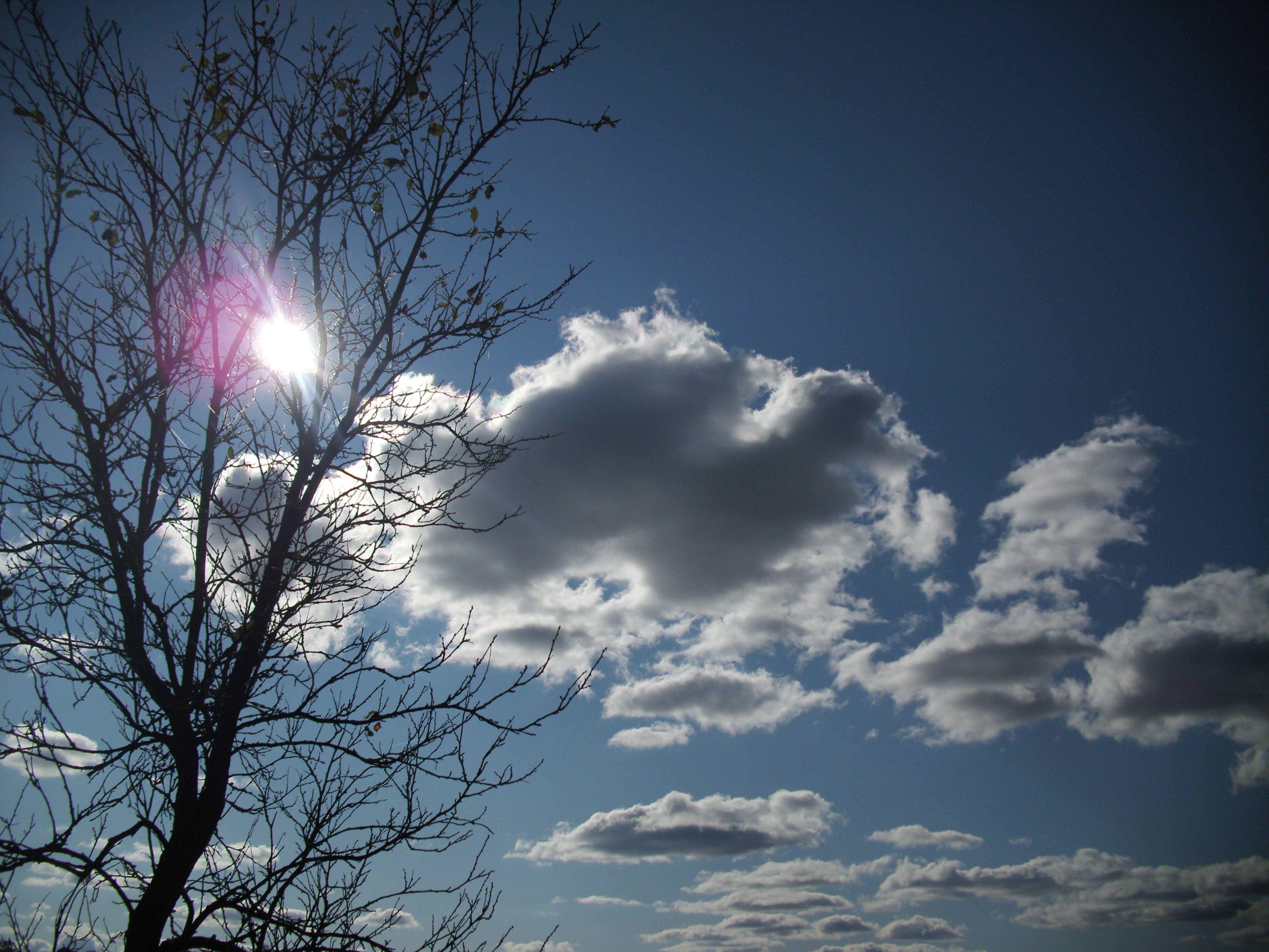 4000x3000 Sky: Blue Sky Day Sunny Autumn Clouds Hình nền iPhone cho HD 16: 9 https://wallpaperaccess.com/full/548874.jpg