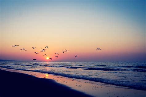 474x316 Sunset Ocean Laptop Wallpaper .