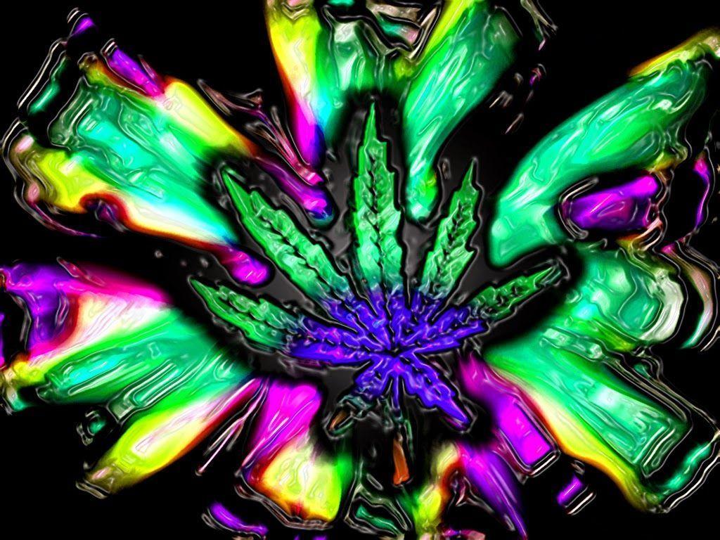 Stoner Hippies Wallpapers - Top Free Stoner Hippies Backgrounds