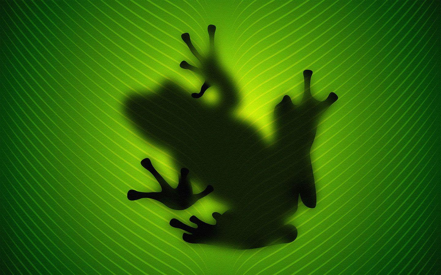 1440x900 Hd Frog Animals Wallpaper
