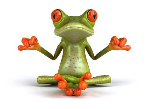474x355 Zen Frog .