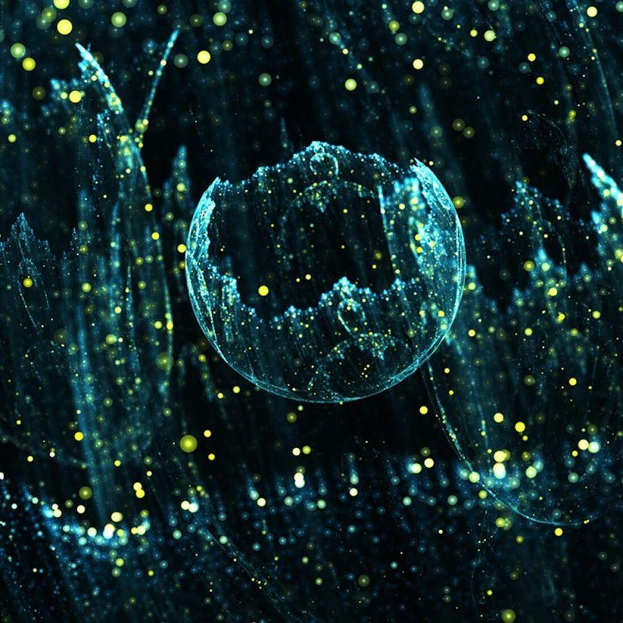 900x900 Hd Wallpaper Of Fireflies