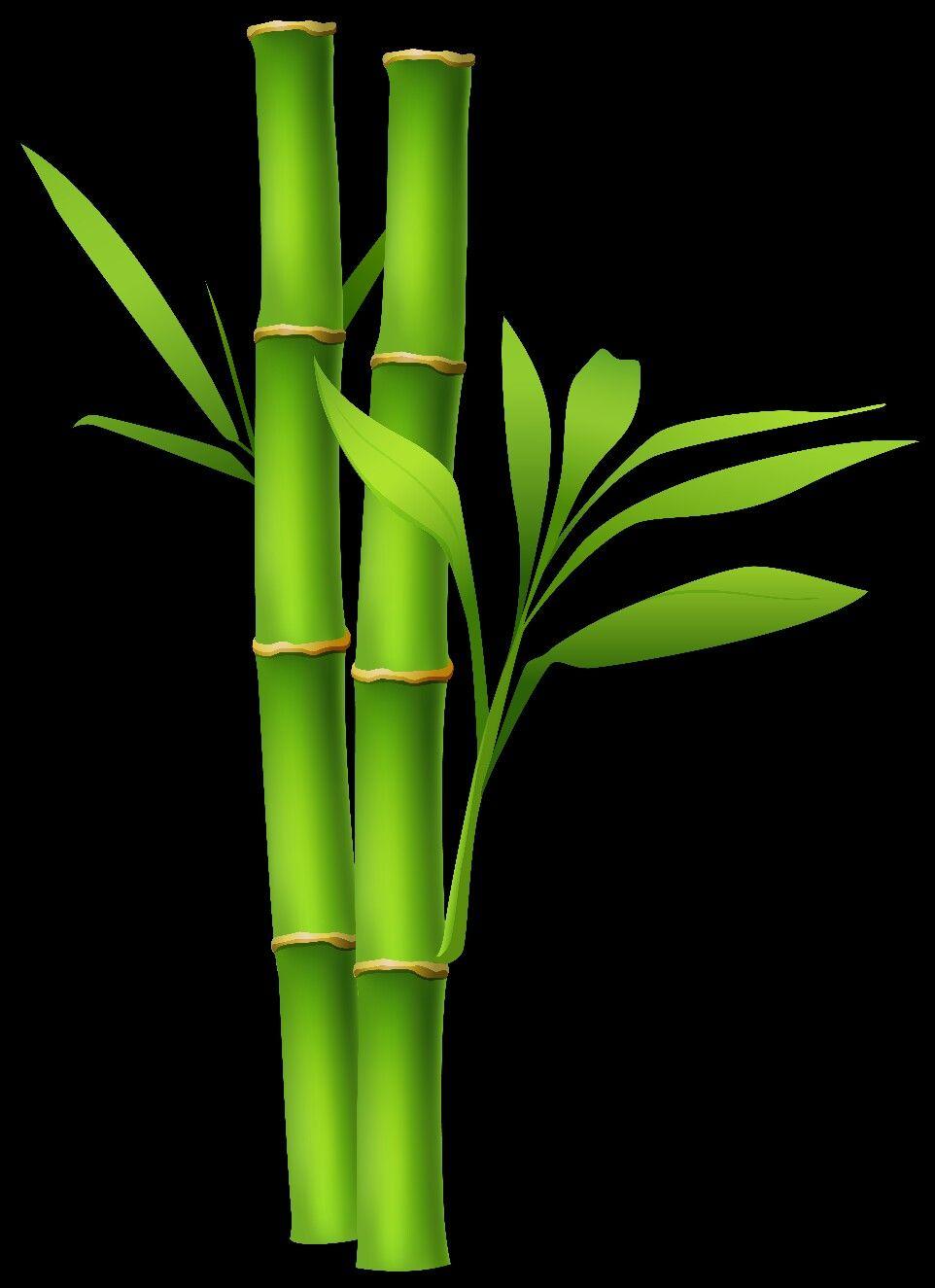 962x1325 BAMBOO.. Bamboo art, Crystal photography, Bamboo drawing
