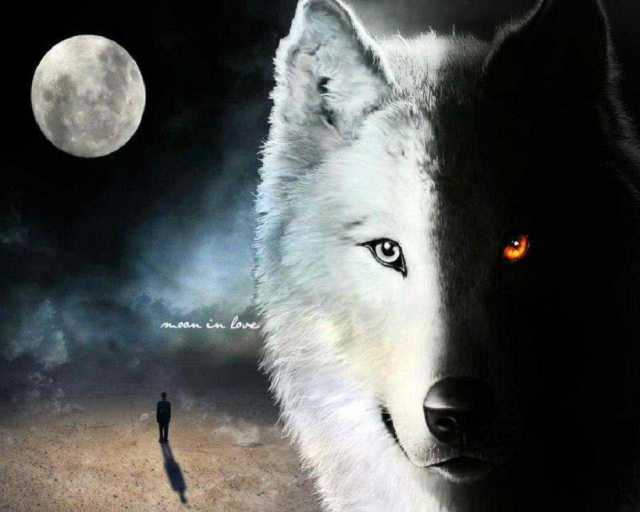 1280x1024 Black And White Wolf Wallpaper