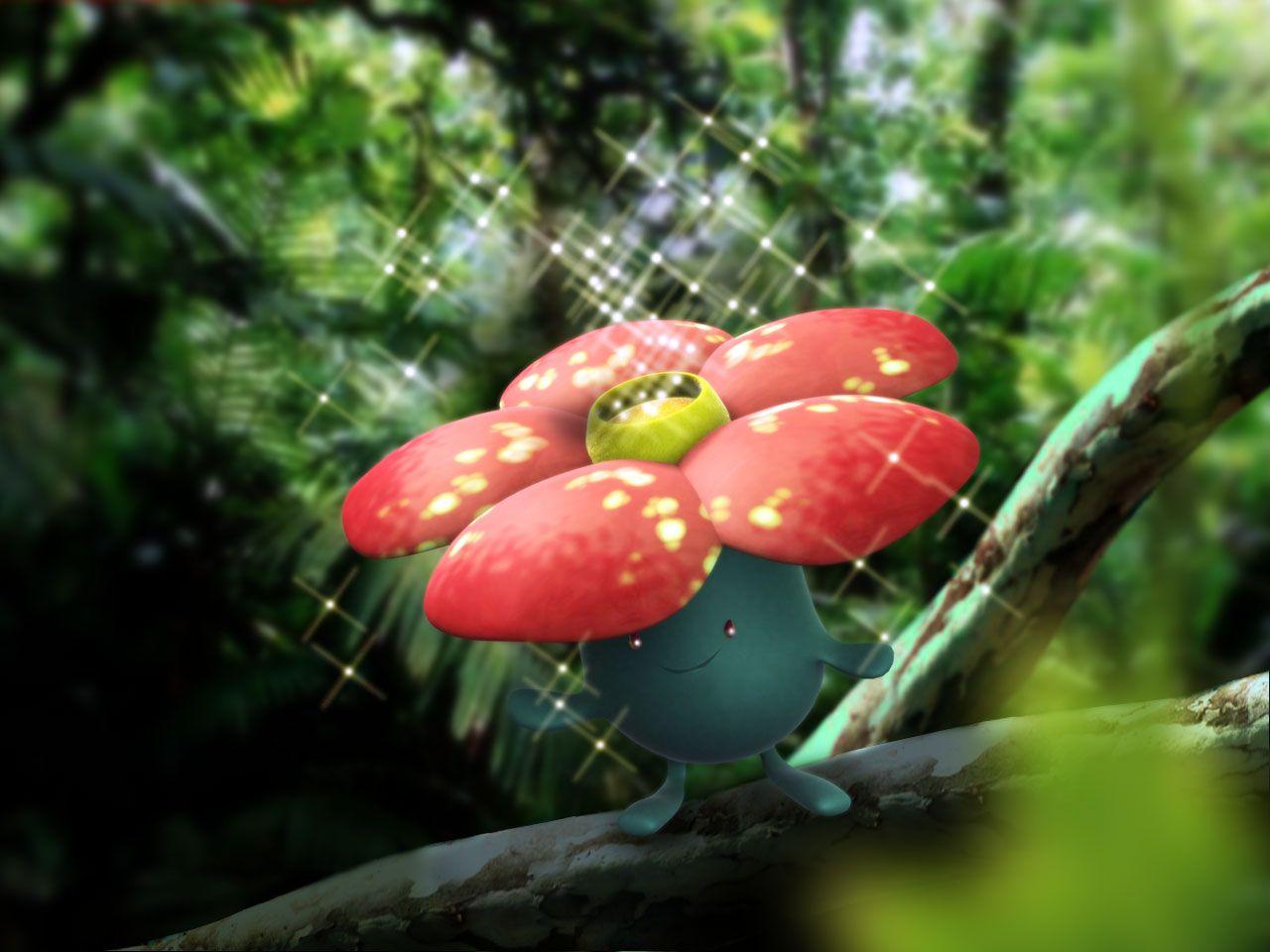 1280x960 Vileplume HD Wallpaper