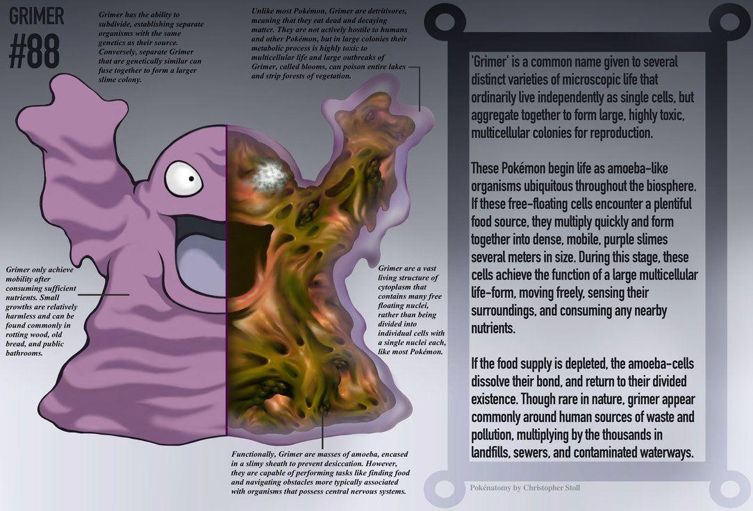 1084x736 Grimer HD Wallpaper
