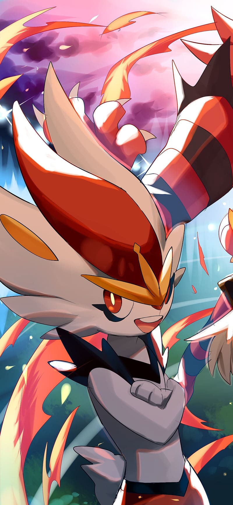800x1733 Anime, Pokémon, Cinderace (Pokémon), Pokémon Sword & Shield, HD phone wallpaper