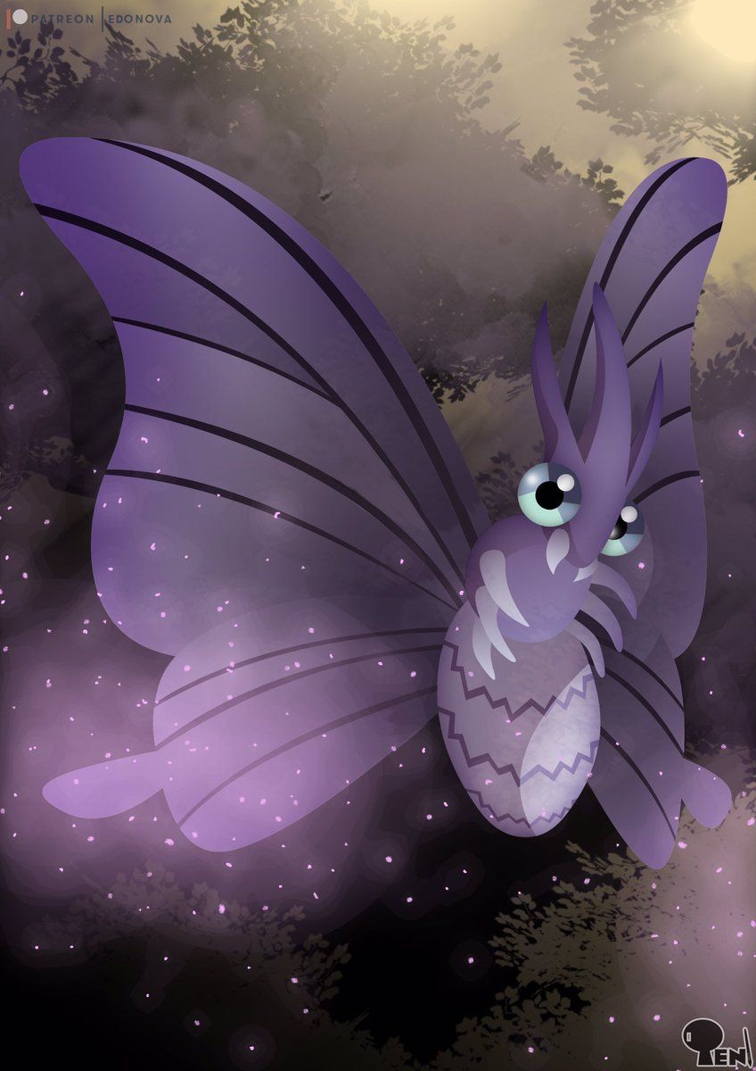 848x1200 Edo Nova Illustrator