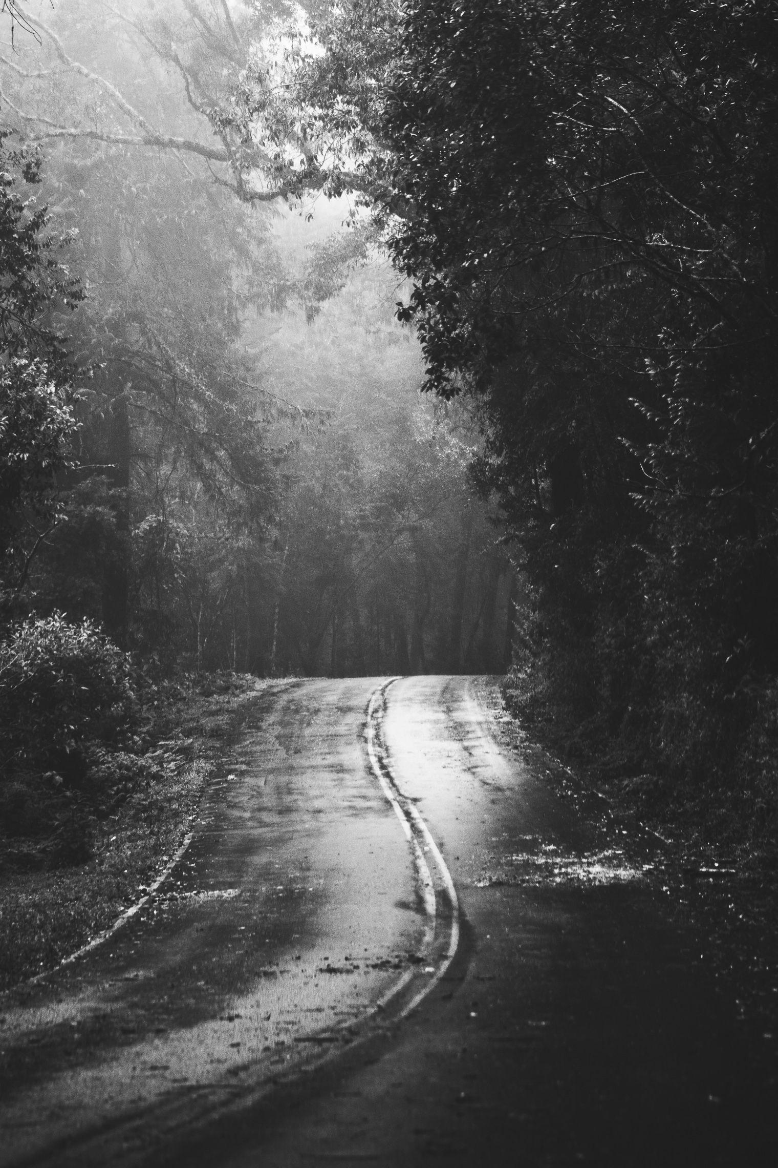 1520x2280 Black and White Wallpaper 1 (59 of 39)