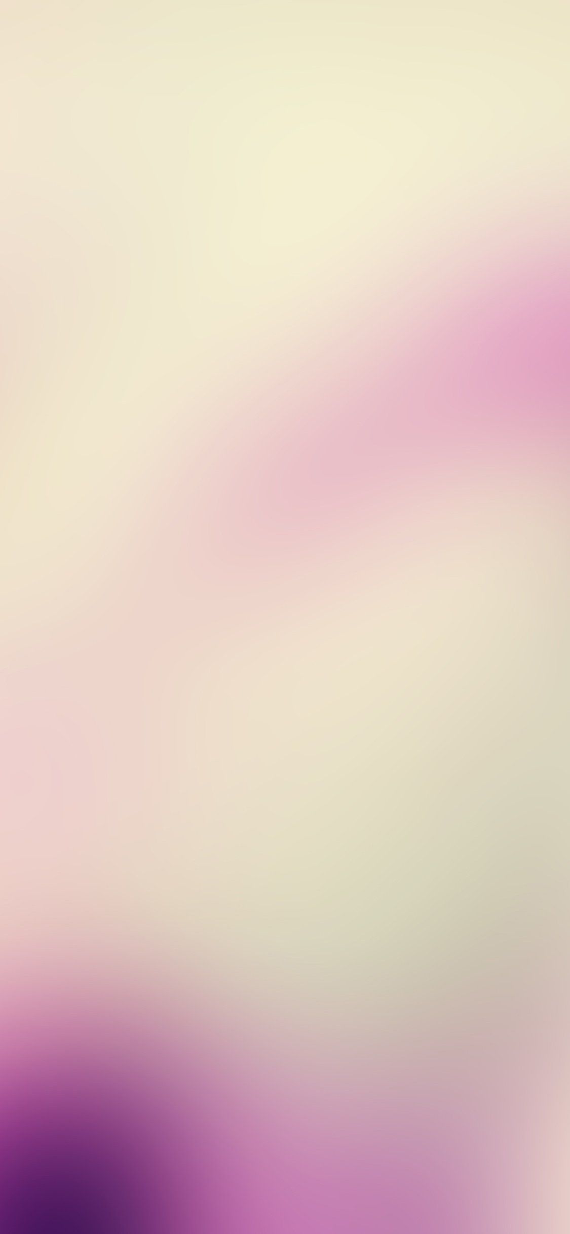 1125x2436 White Pink Blur Gradation iPhone Wallpaper