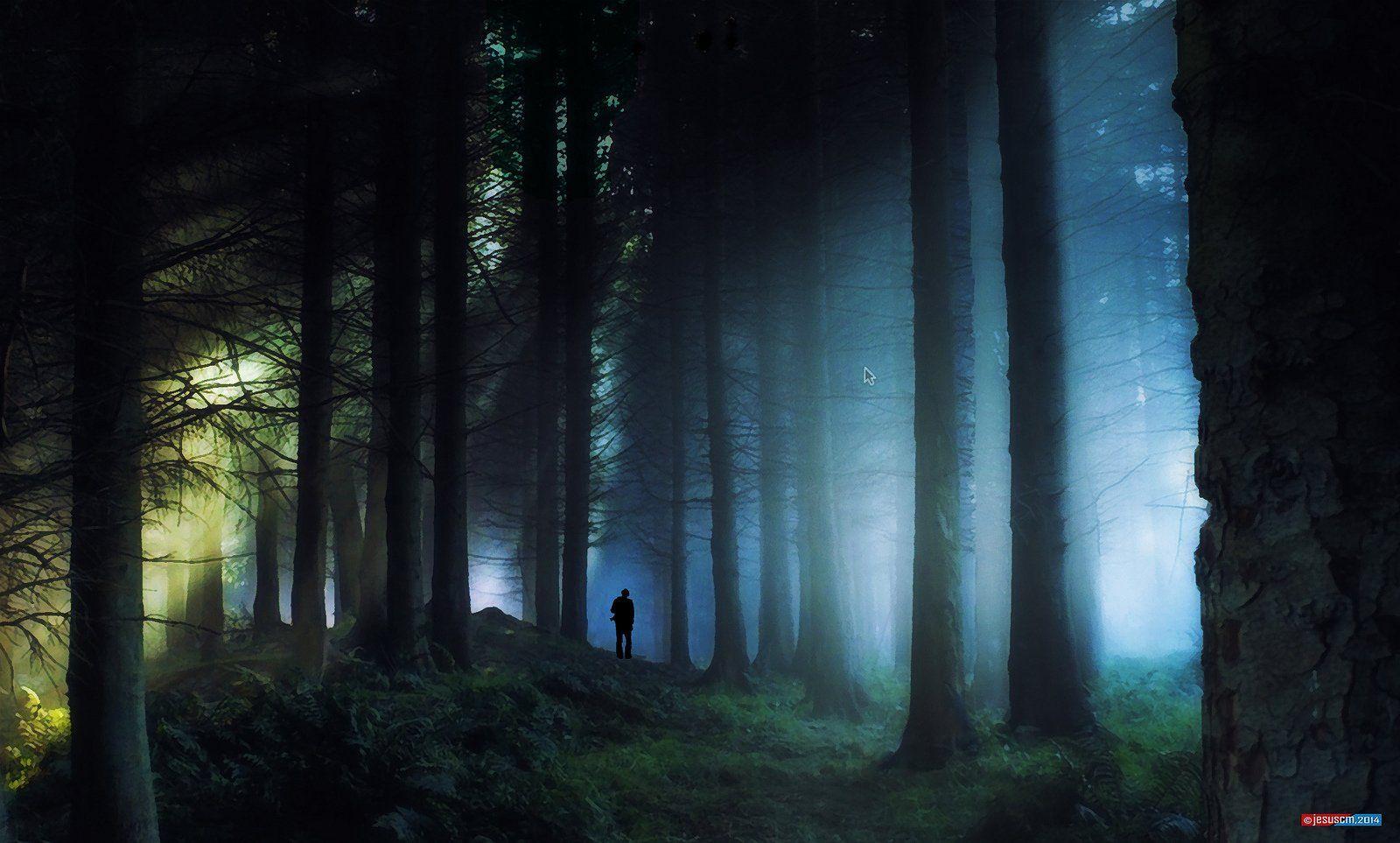 Ночь в запретном лесу последняя версия мод. Запретный лес арт. Запретный лес фон. Dark Light лес.