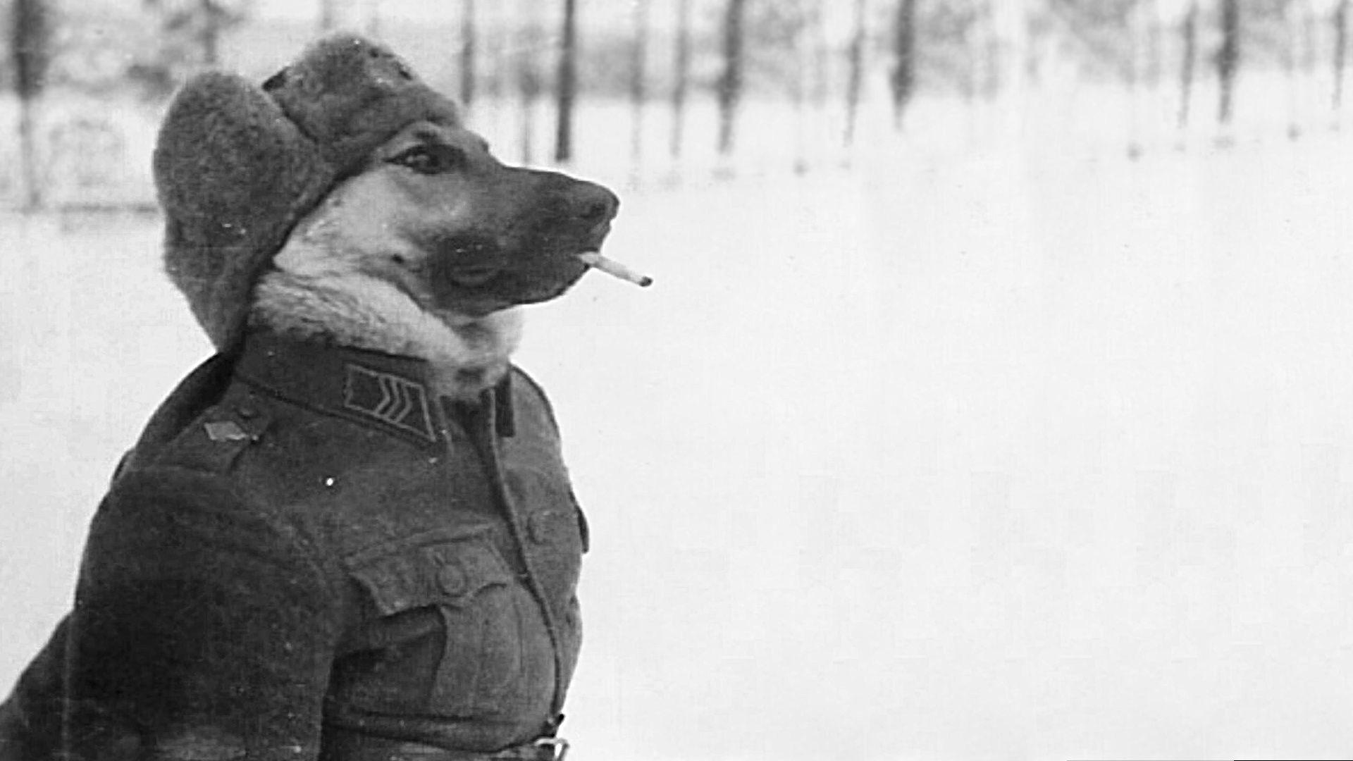 1920x1080 R Wallpaper Outdoors Face Human Person Snow Portrait In Uniform Ww2 Wallpaper & Background Download
