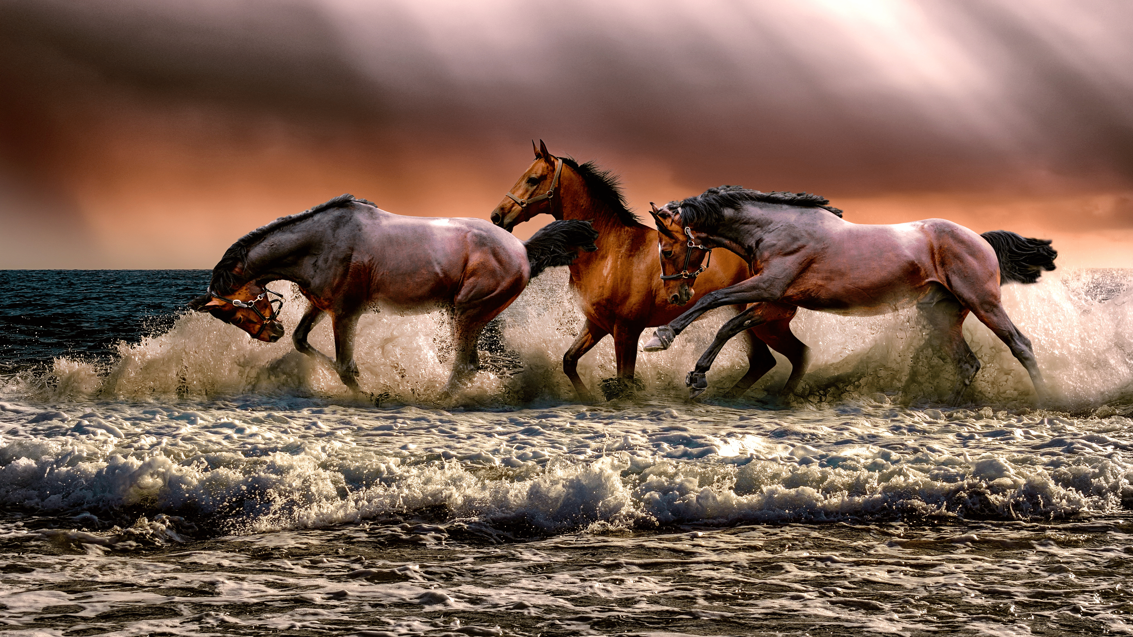 3840x2160 Running Horses Wallpaper Wallpaper 4k Download Wallpaper & Background Download