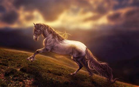 474x296 Awesome Horse Background .