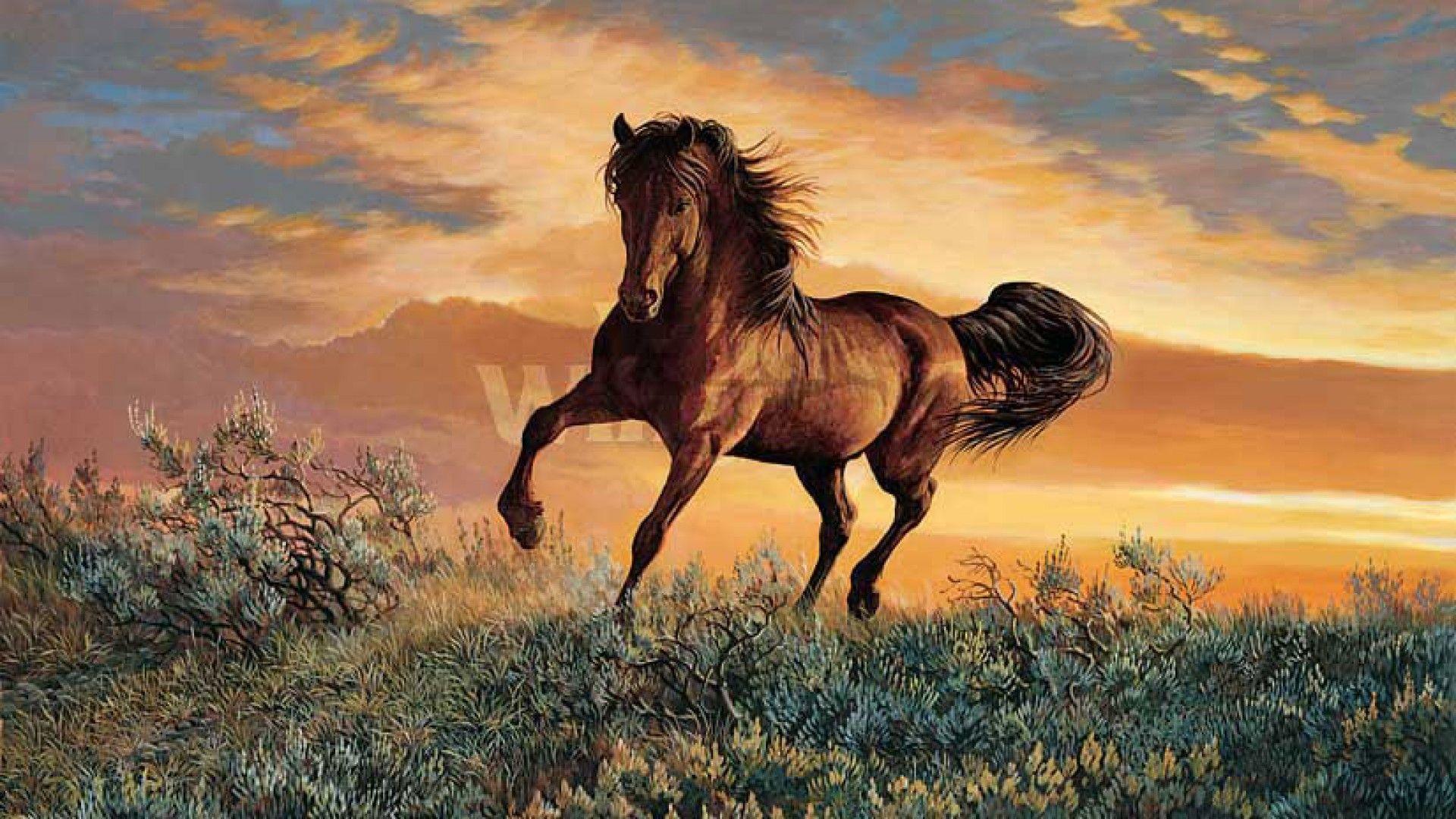 1920x1080 Mustang Horse Wallpaper