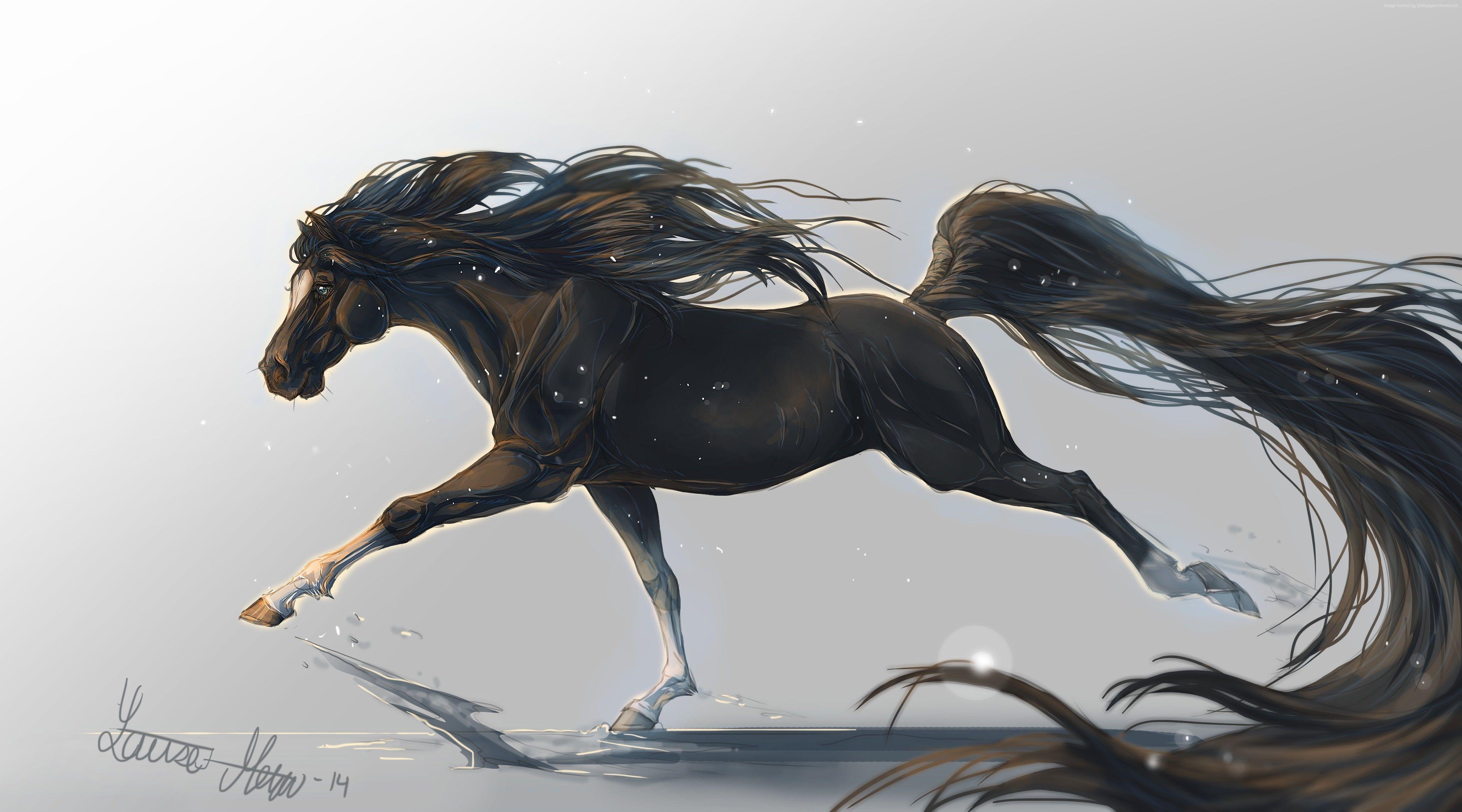 4500x2500 #mane, k wallpaper, k, #black, #white background, #hooves, #art, , #galloping, #horse. Mocah HD Wallpaper