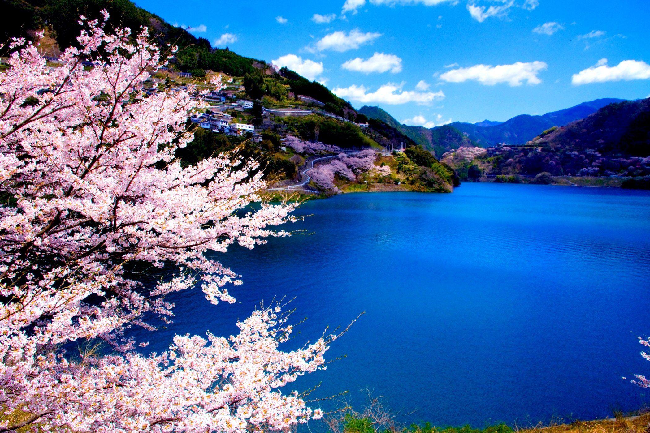 Spring lake. Спринг Лейк. Spring Mountain. Lake Spring background.