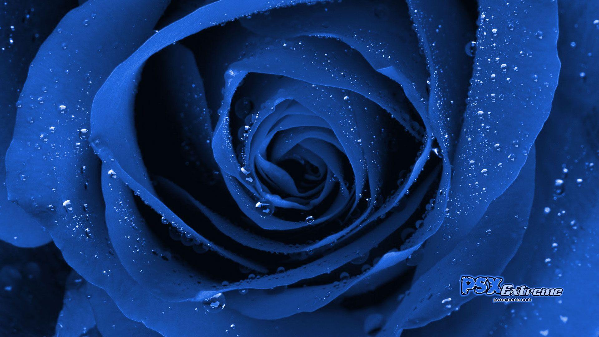 1920x1080 Cool Blue wallpaper, Abstract, HQ Cool Blue pictureK Wallpaper 2019