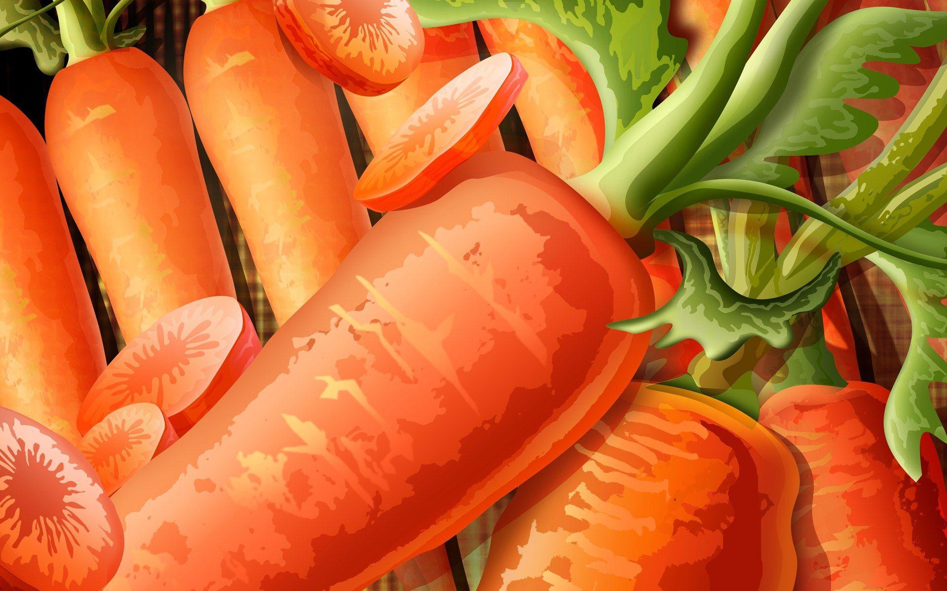 1920x1200 Free download PSD Food illustrations 3122 fresh carrot illustration [1920x1200] for your Desktop, Mobile & Tablet. Explore Carrot Wallpaper. Carrot Wallpaper