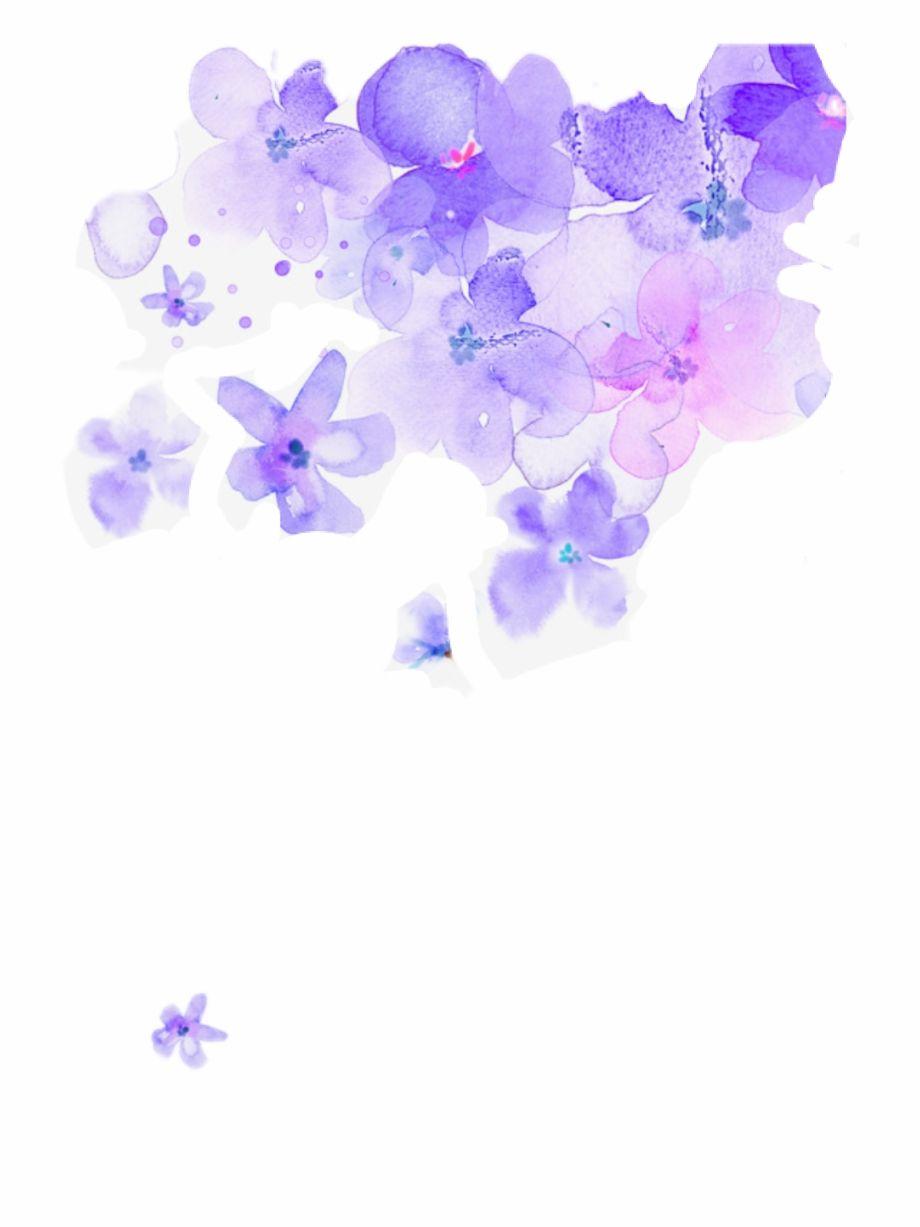 920x1227 Free Lilac Flower Transparent, Download Free Clip Art, Free Clip Art on Clipart Library