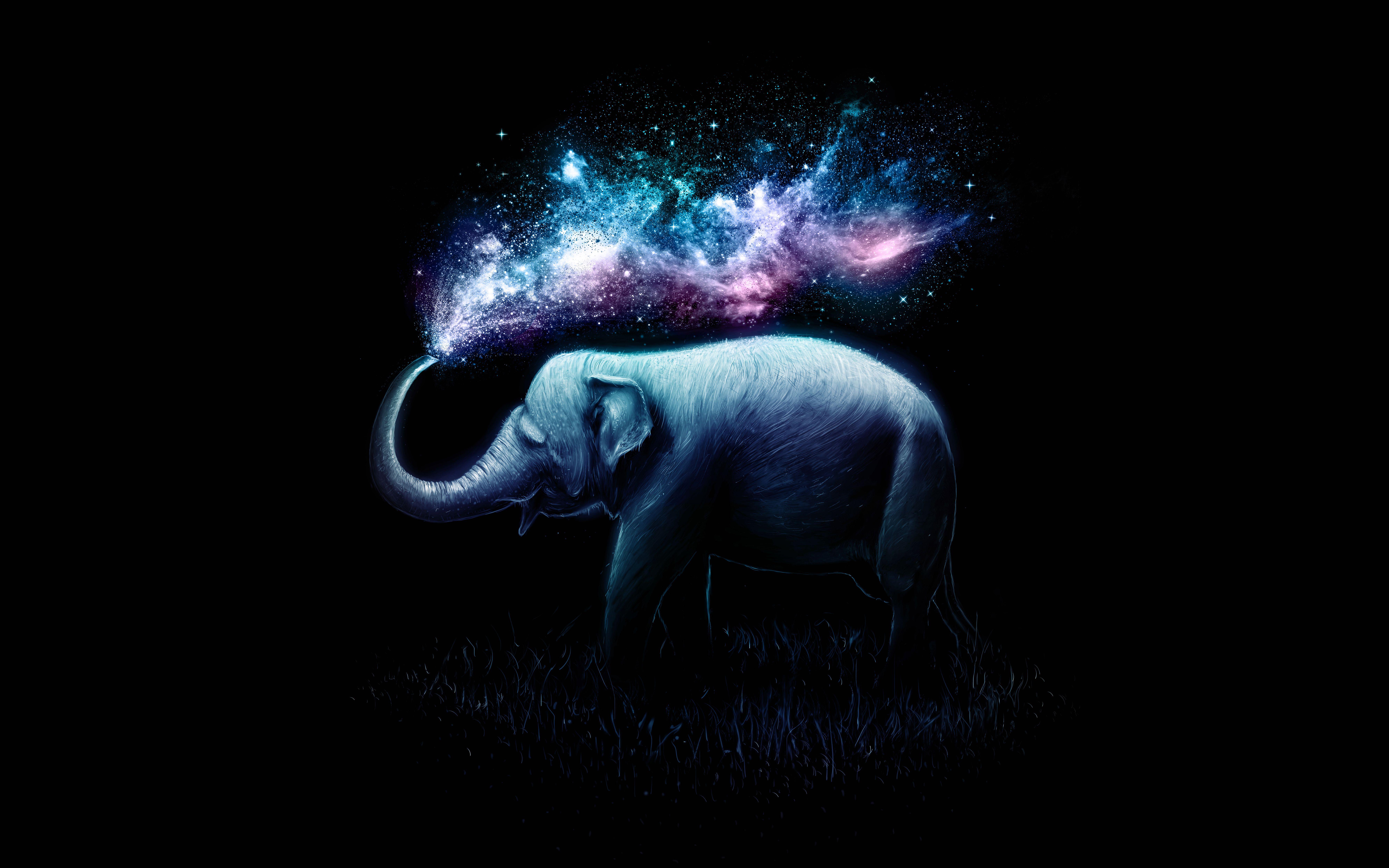 8000x5000 Elephant 4K Wallpaper, Colorful, Surreal, AMOLED, Black background, 5K, 8K, Fantasy