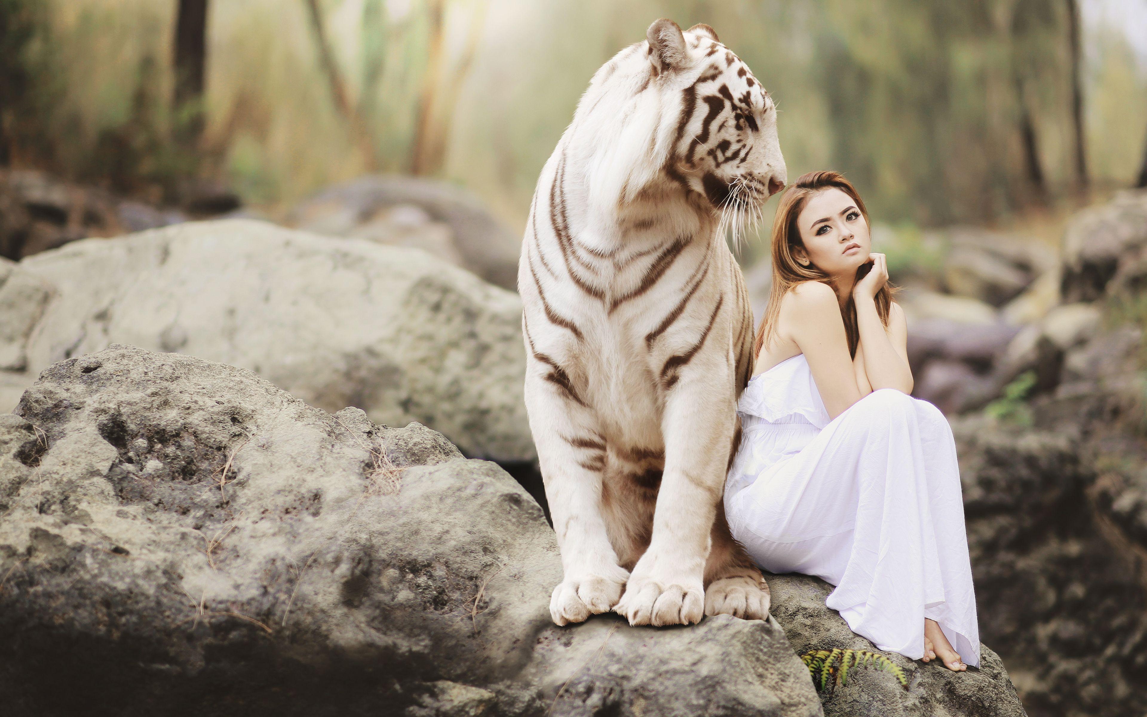 3840x2400 White Tiger & Model 4K Wallpaper
