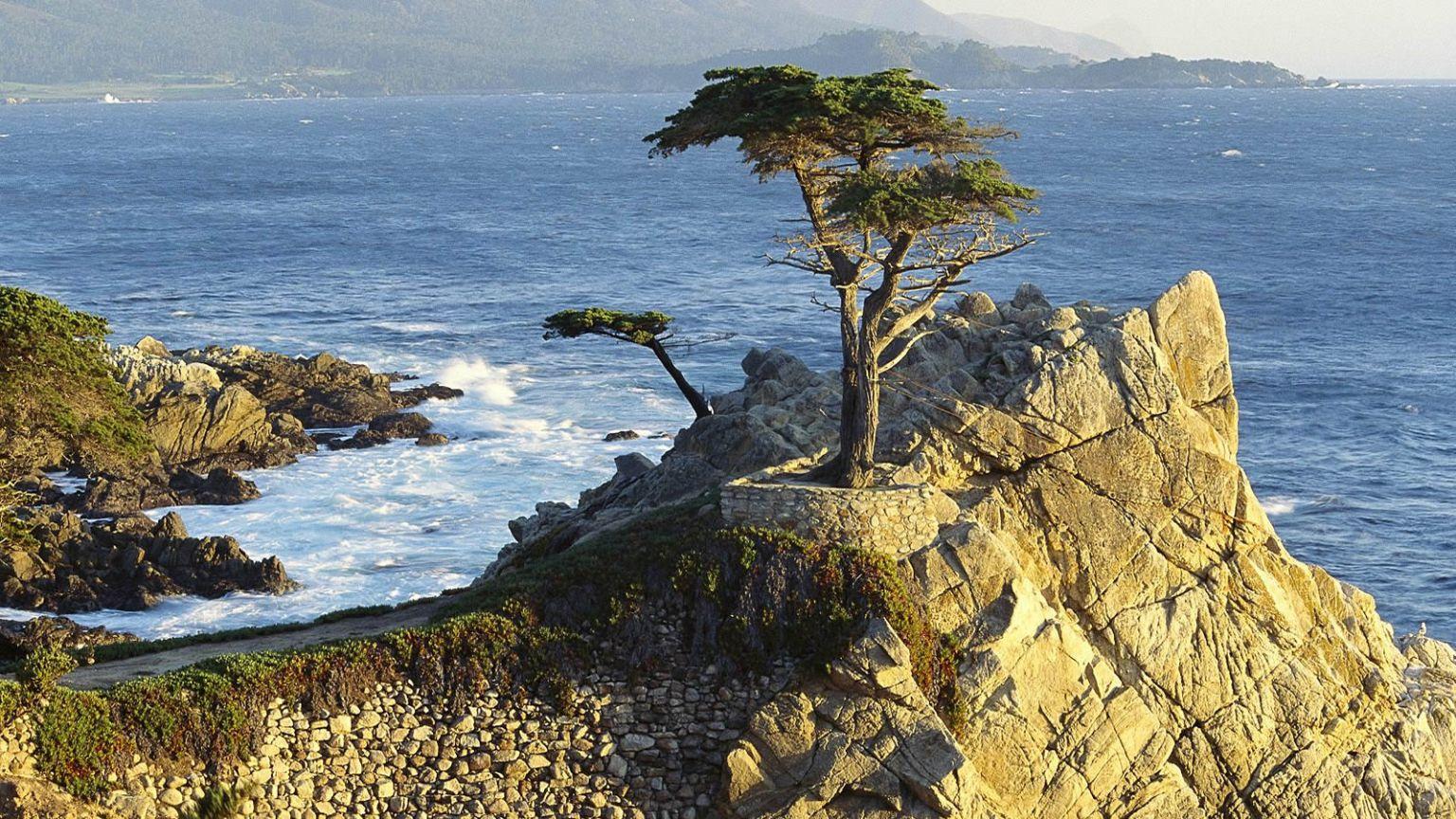 1536x864 Free download Monterey Cypress for a computer widescreen desktop wallpaper 1600x900 [1600x900] for your Desktop, Mobile & Tablet. Explore California Desktop Wallpaper. California Wallpaper Desktop Free