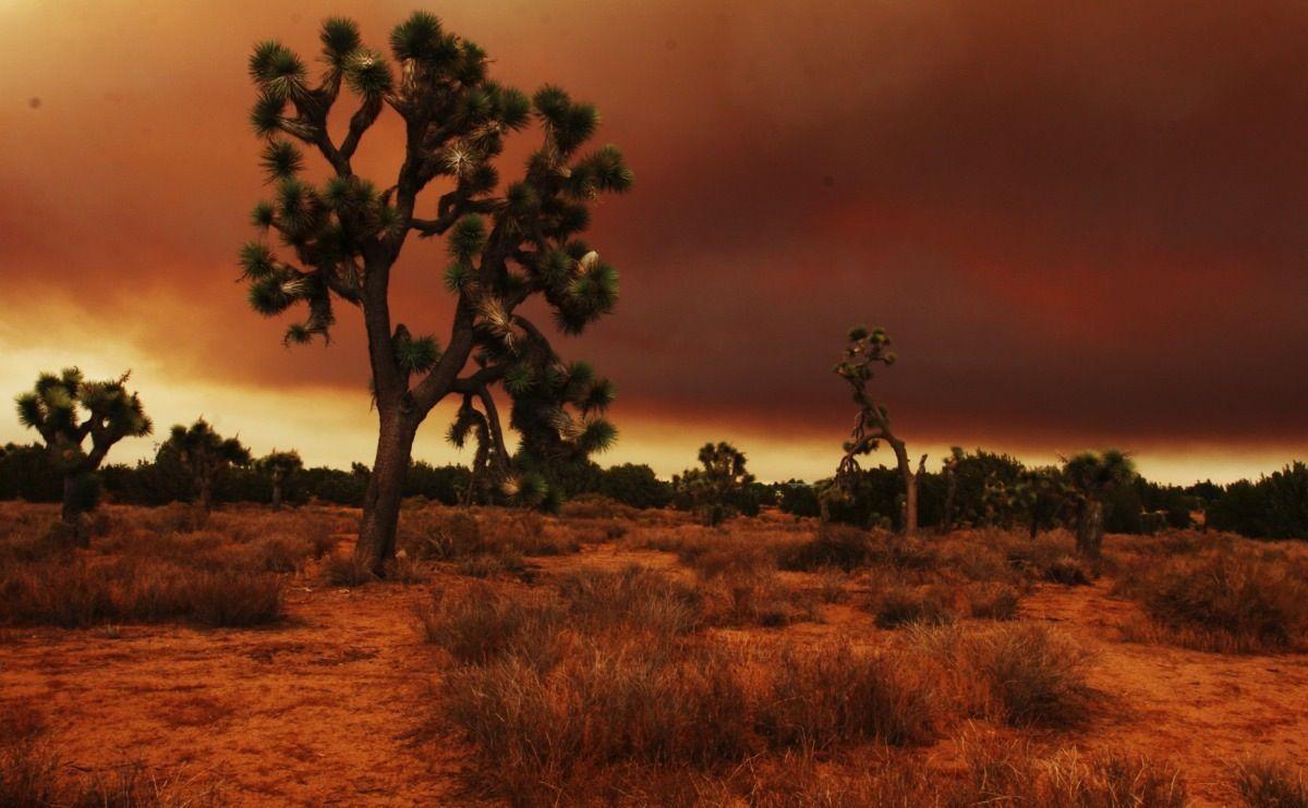 1200x742 Scientists: The American Southwest Faces a Megadrought