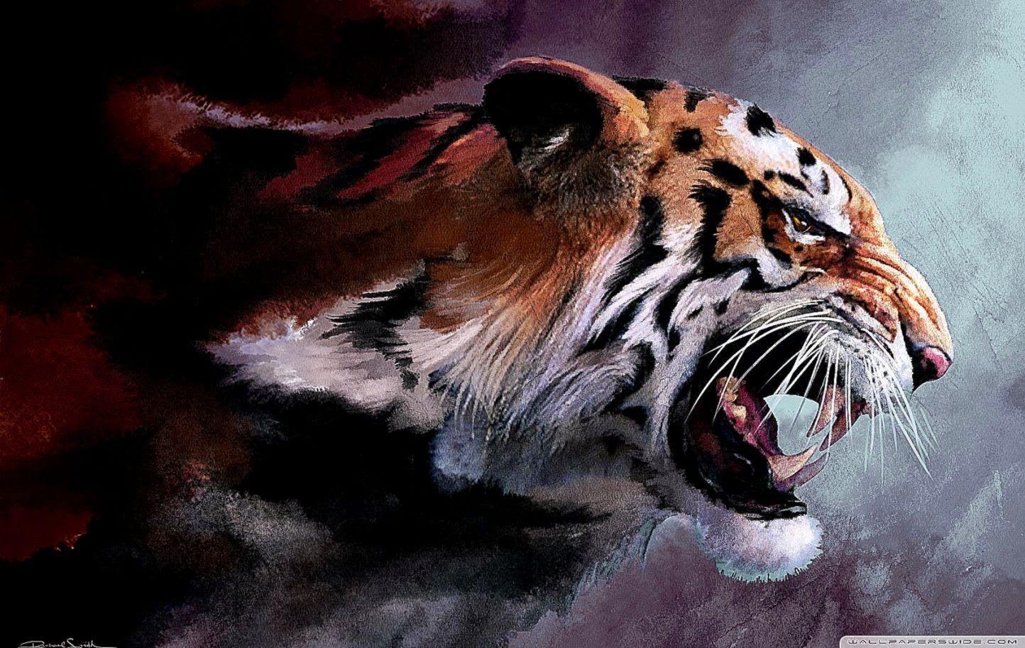 1444x913 Dragon And Tiger Wallpaper Wallpaper 4k