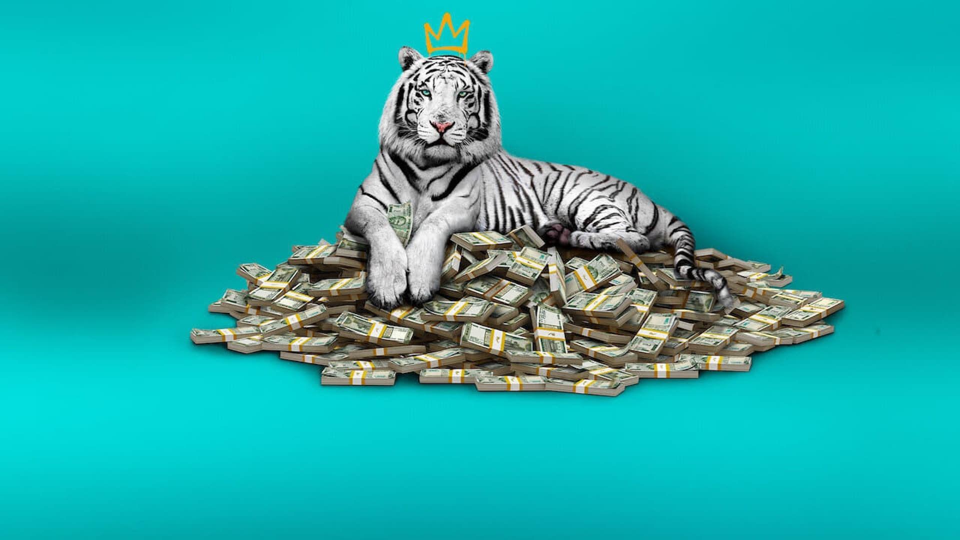 1920x1080 Netflix The White Tiger Wallpaper, HD Movies 4K Wallpaper, Image, Photo and Background