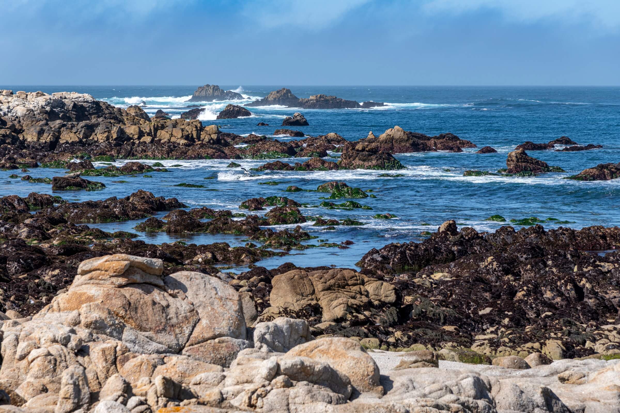 2400x1600 Rocky shore. Wallpaper. Monterey Bay Aquarium
