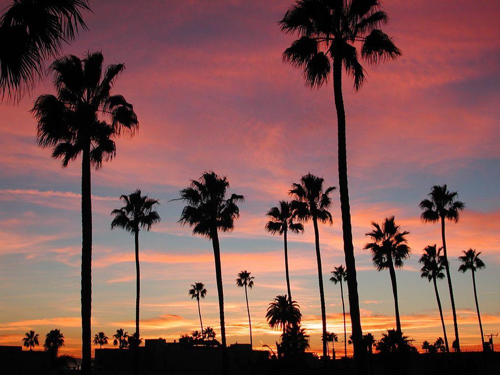 1024x768 Travelling California 1024x768px