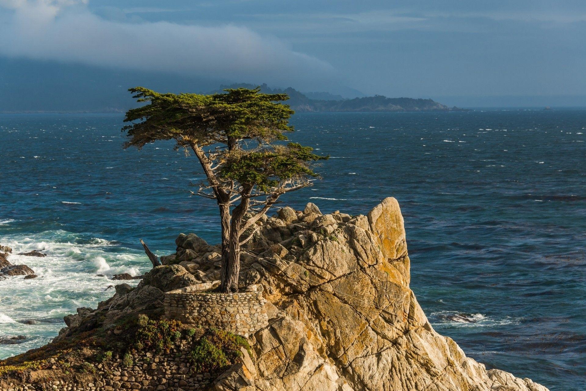 1920x1282 Lone cypress, Monterey peninsula, California, Pacific, Monterey, Cypress, Tree, Rock, Pacific coast wallpaper