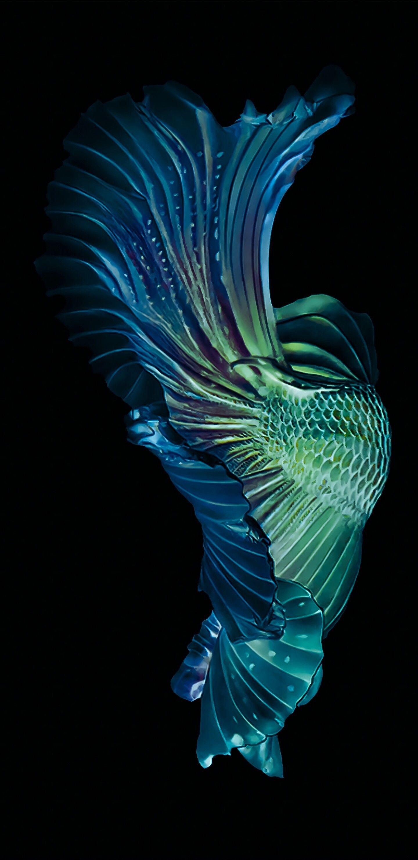 1440x2960 Hd Wallpaper 112 Data Src Samsung Phone Wallpaper Wallpaper S10 Plus HD Wallpaper
