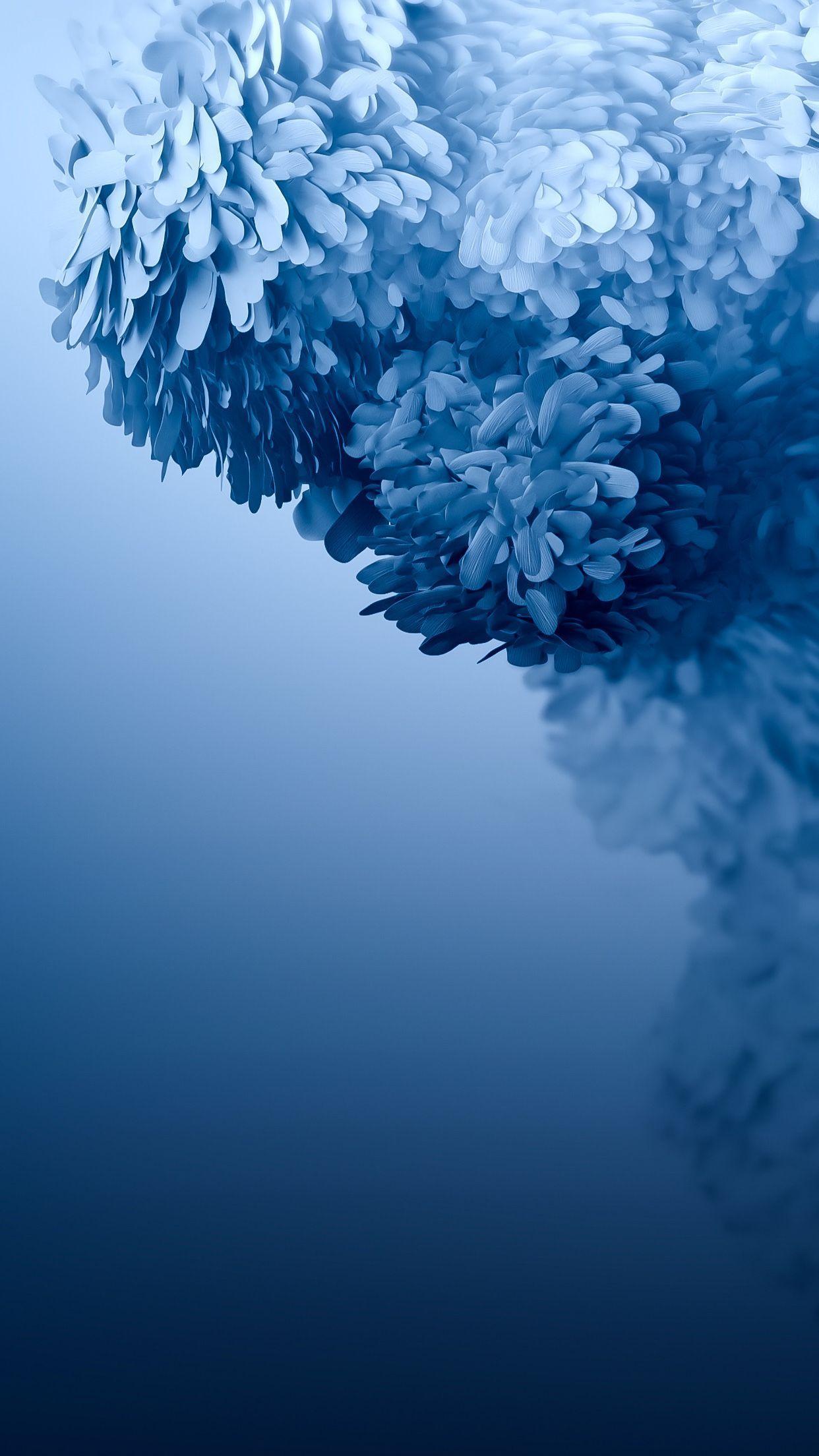 1242x2208 phone
