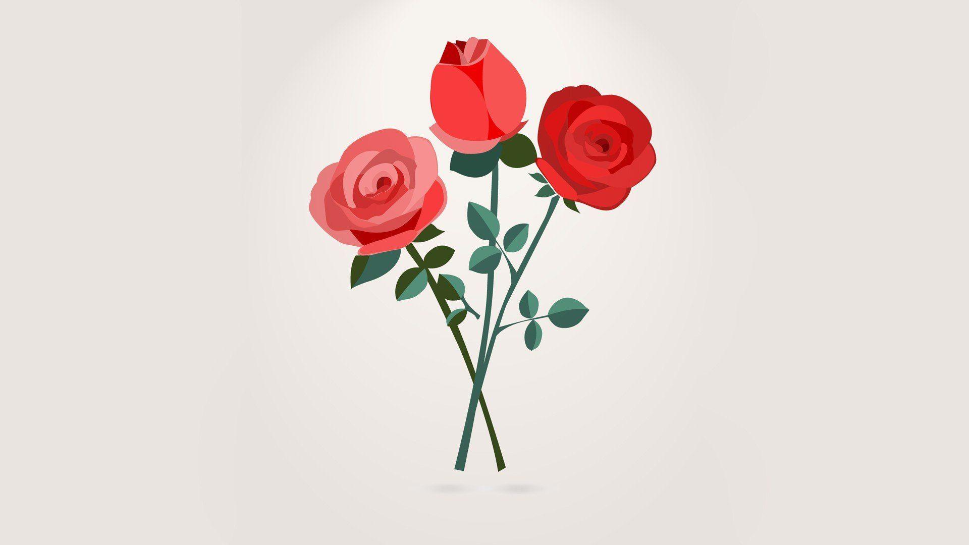 Simple Rose Wallpapers - Top Free Simple Rose Backgrounds - WallpaperAccess