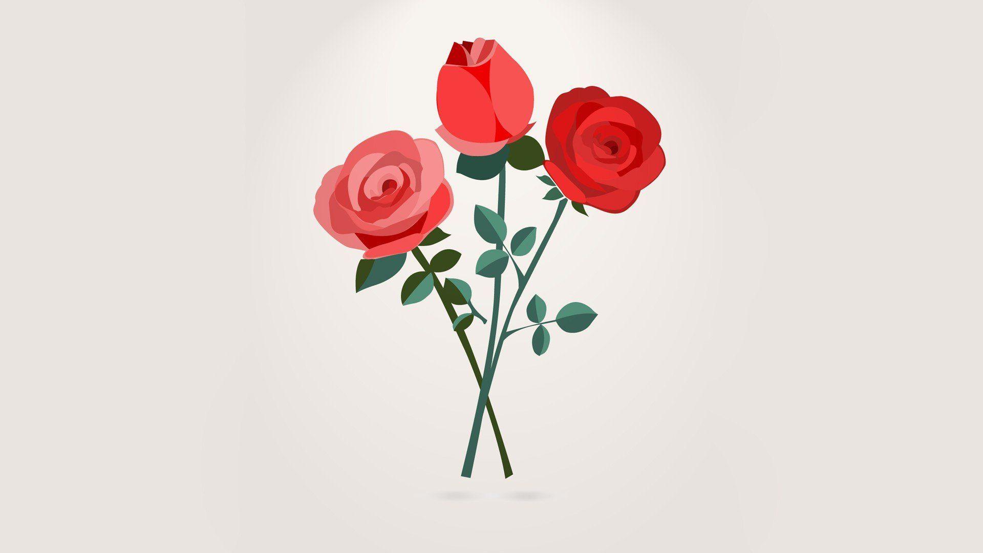 Simple Rose Wallpapers Top Free Simple Rose Backgrounds WallpaperAccess