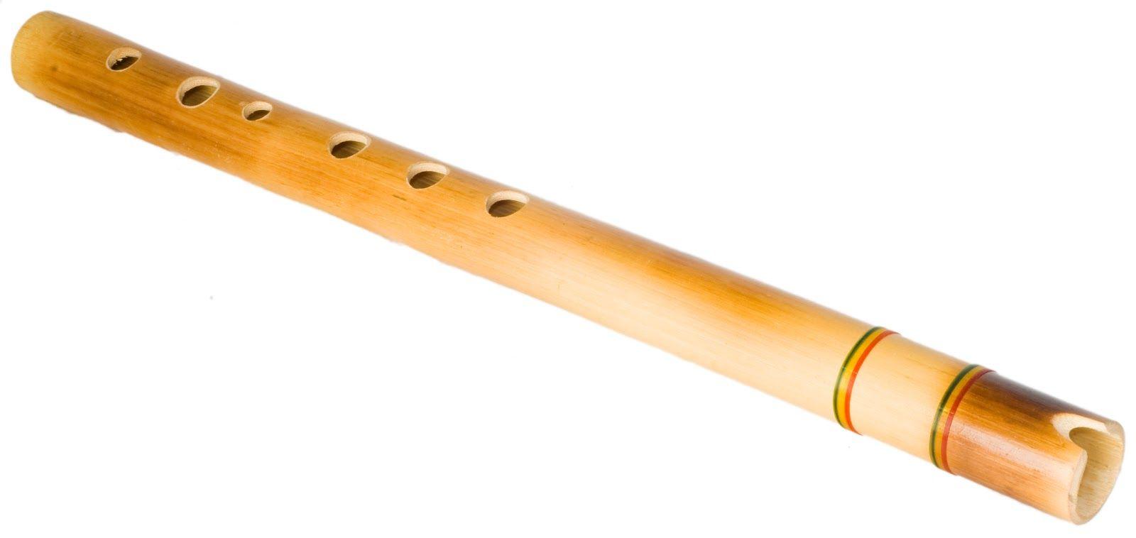 1600x758 Bamboo Grove Photo: Bamboo Flute