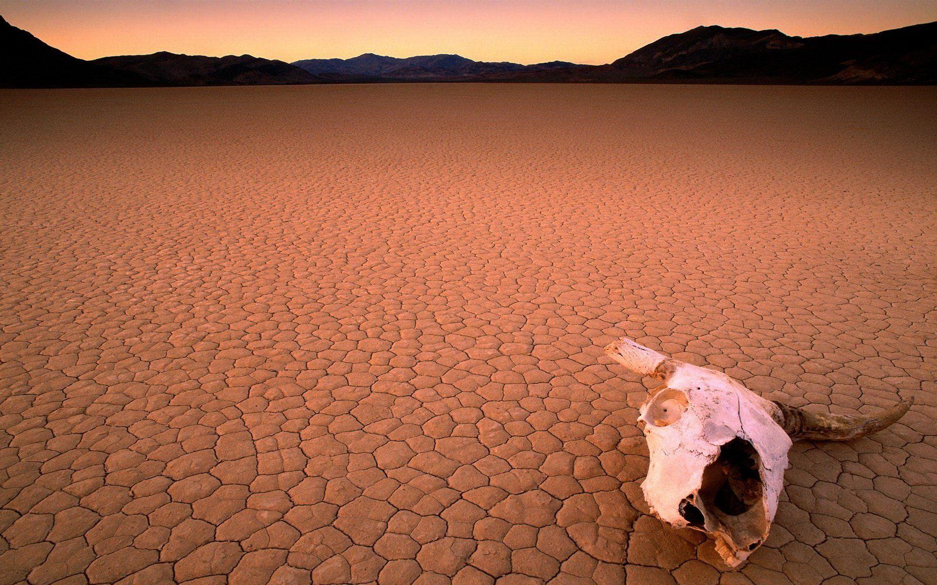1920x1200 Desert HD Wallpaper and Background Image