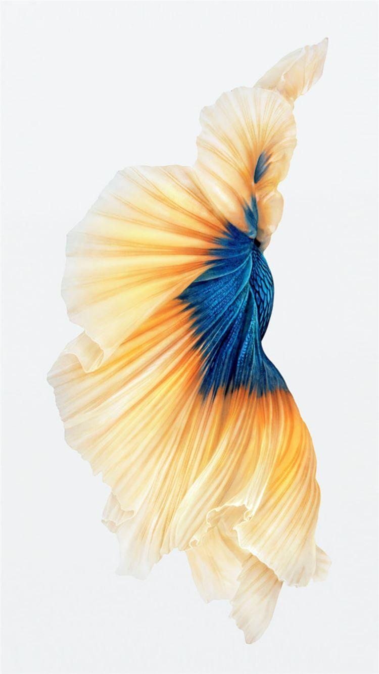 750x1334 Fantasy iOS9 Wallpaper Fish Gold Art iPhone 8 Wallpaper Free Download