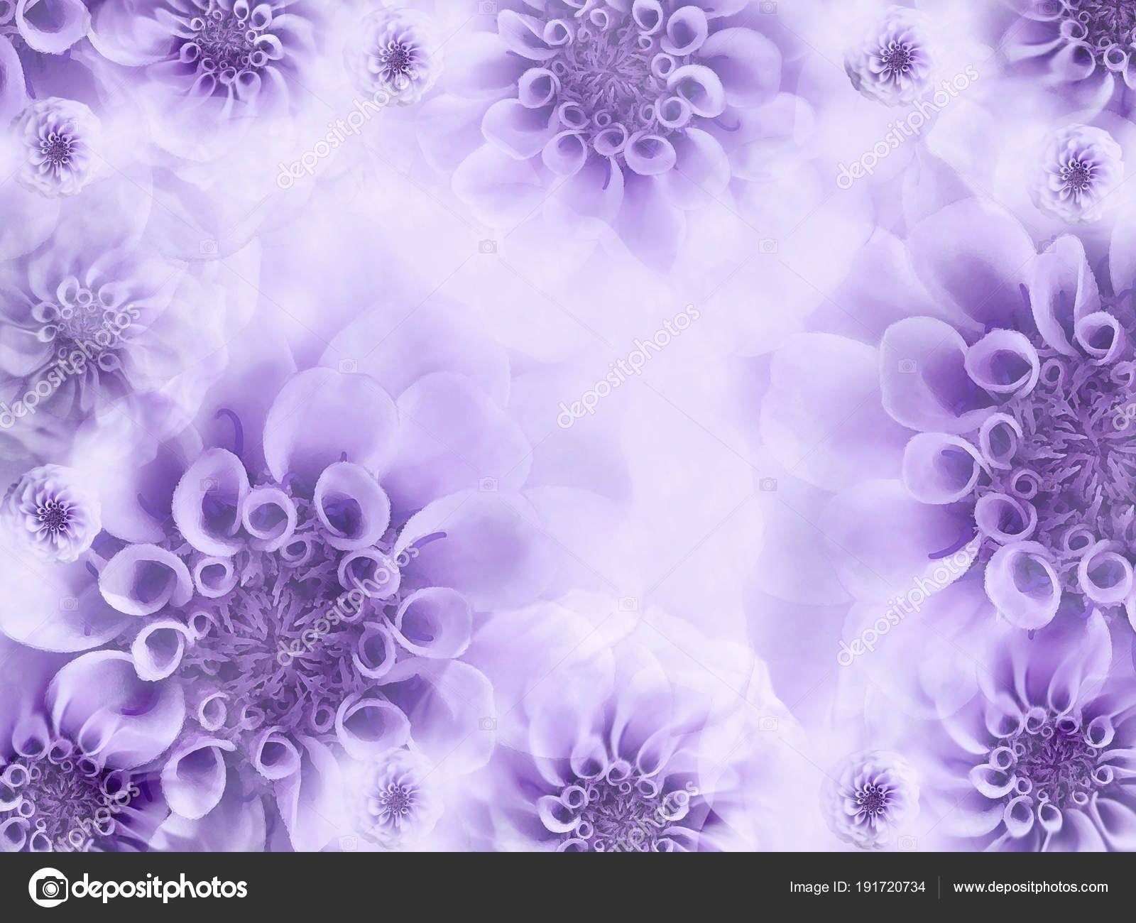1600x1300 Light Purple Flower Background Light Violet Background