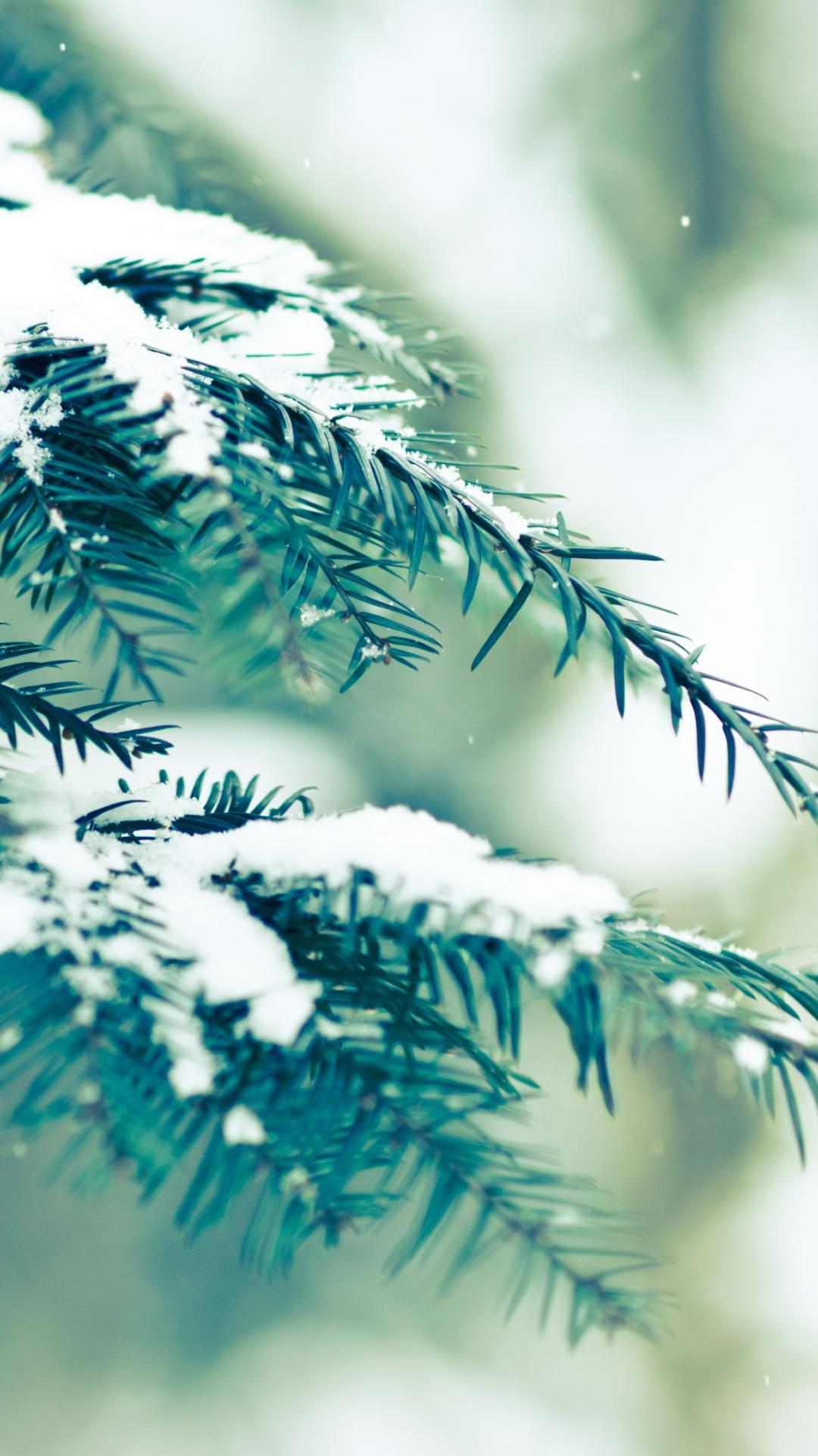 1080x1920 23++ Vintage Winter Wallpaper HD